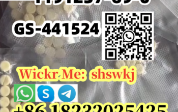 1191237-69-0 GS-441524