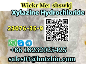 23076-35-9 Xylazine Hydrochloride