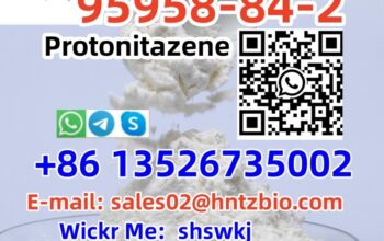 95958-84-2 Protonitazene
