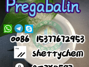 Fast delivery CAS 148553-50-8 Pregabalin h