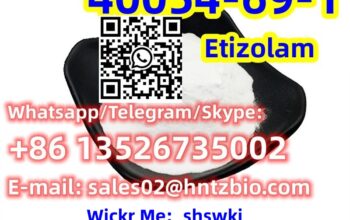 40054-69-1 Etizolam