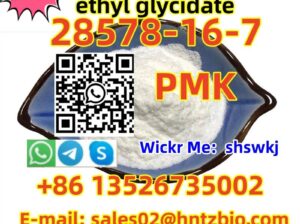 28578-16-7 PMK, ethyl glycidate