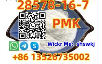 28578-16-7 PMK, ethyl glycidate