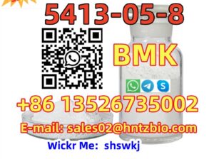 5413-05-8 BMK, ETHYL 2-PHENYLACETOACETATE