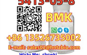5413-05-8 BMK, ETHYL 2-PHENYLACETOACETATE