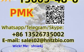 13605-48-6 PMK methyl glycidate