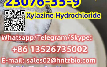23076-35-9 Xylazine Hydrochloride