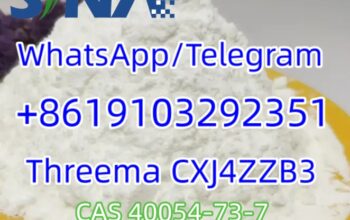 CAS 40054-73-7 Deschloroetizolam