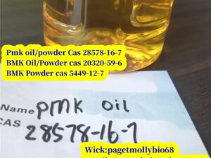 CAS 28578-16-7 PMK ethyl glycidate (powder&oil)