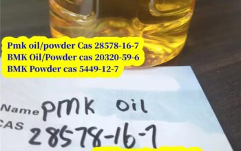 CAS 28578-16-7 PMK ethyl glycidate (powder&oil)
