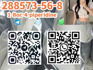 288573-56-8 1-Boc-4-(4-fluoro-phenylamino)-pipe