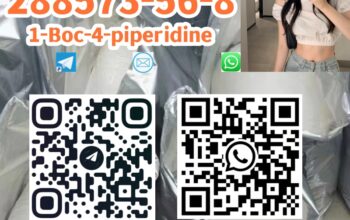 288573-56-8 1-Boc-4-(4-fluoro-phenylamino)-pipe