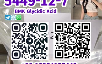 5449-12-7 BMK Glycidic Acid (sodium salt)