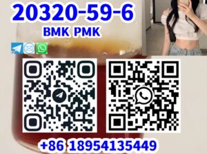 20320-59-6 BMK PMK