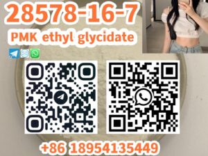 28578-16-7 PMK ethyl glycidate