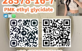 28578-16-7 PMK ethyl glycidate