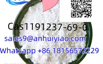 CAS1191237-69-0 GS 441524