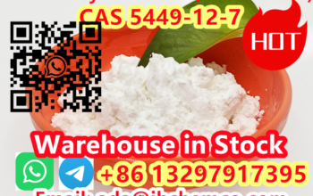 CAS 5449-12-7 BMK Glycidic Acid (sodium salt)