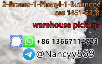 2-Bromo-1-Phenyl-1-Butanone CAS 1451-83-8 for sale
