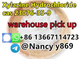 86 13667114723 Factory Shipment CAS 23076-35-9