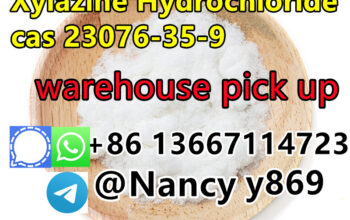 86 13667114723 Factory Shipment CAS 23076-35-9