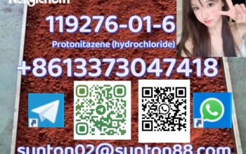 119276-01-6 Protonitazene (hydrochloride)