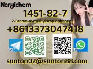 5449-12-7 BMK Glycidic Acid (sodiu