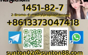 5449-12-7 BMK Glycidic Acid (sodiu