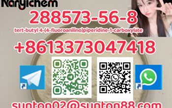 288573-56-8 tert-butyl 4-(4-fluoroanilino)piperidi