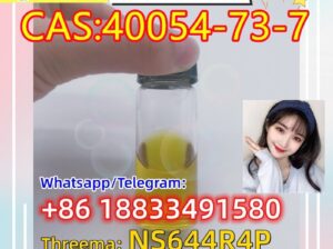 Deschloroetizolam CAS 40054-73-7 China supplier