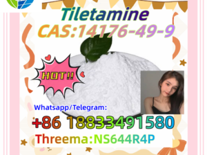 High Purity Tiletamine CAS 14176-49-9 99% powder