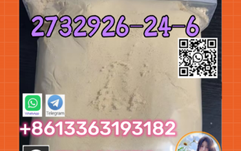 N-desethyl isotonitazene 2732926-24-6 +861336319