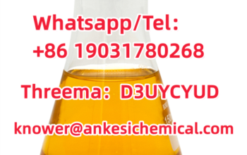 Europe Delivery New Pmk CAS 28578-16-7