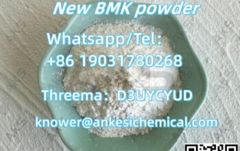 CAS 25547-51-7 BMK Glycidic Acid Purity 99%