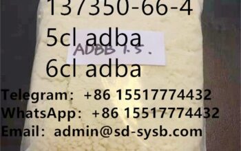 CAS 137350-66-4 in Large Stock