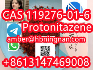 Protonitazene (hydrochloride) CAS 119276-01-6