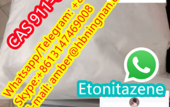 Etonitazen  CAS 911-65-9