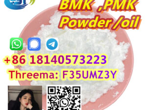BMK powder and oil CAS 5449-12-7,20320-59-6