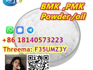 NEW BMK Glycidic Acid(sodium salt) CAS 5449-12-7