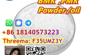 NEW BMK Glycidic Acid(sodium salt) CAS 5449-12-7