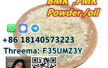 PMK powder and oil CAS 28578-16-7 europe warehouse