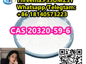 BMK Intermediate Oil CAS 20320-59-6 Liquid Type Pr