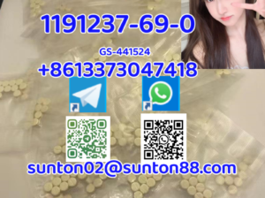 1191237-69-0 GS-441524