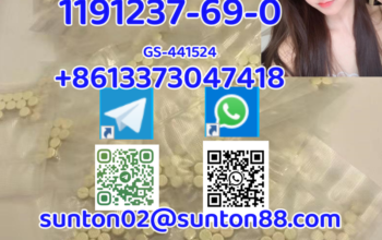 1191237-69-0 GS-441524