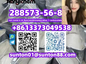 288573-56-8 tert-butyl 4-(4-fluoroanilino)piperidi