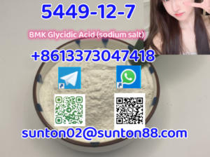5449-12-7 BMK Glycidic Acid (sodiu