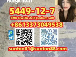 5449-12-7 BMK Glycidic Acid (sodiu