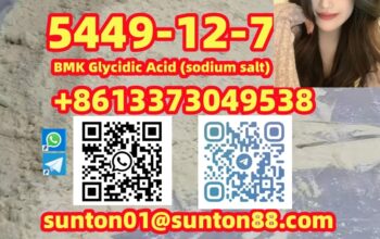 5449-12-7 BMK Glycidic Acid (sodiu