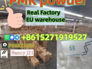 2503-44-8 pmk powder 3,4-DIHYDROXYPHENYLACETONE ne