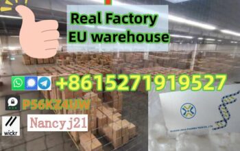 2503-44-8 pmk powder 3,4-DIHYDROXYPHENYLACETONE ne